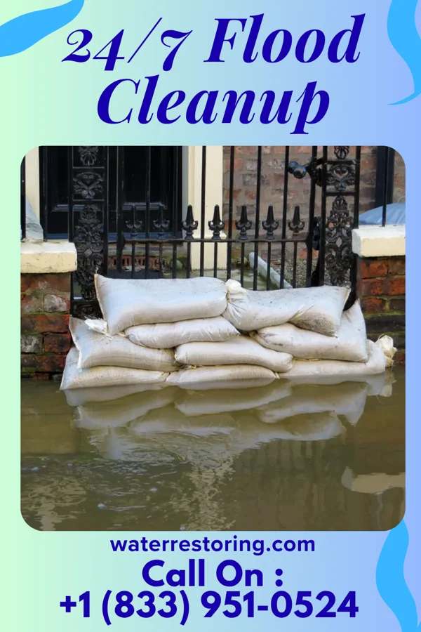 24/7 Flood Cleanup in Mantoloking, NJ