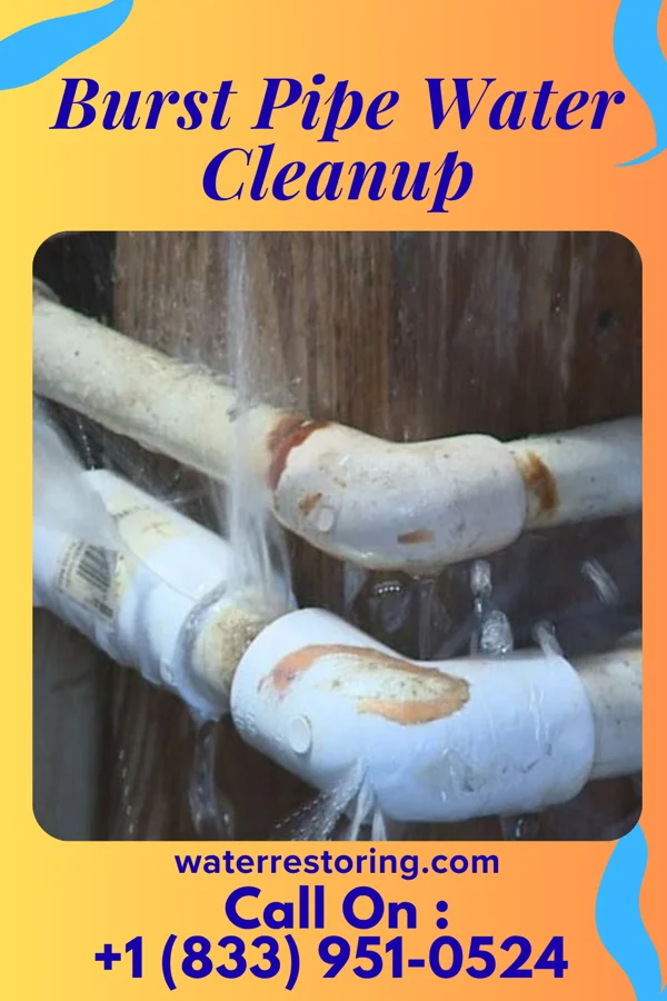 Burst Pipe Water Cleanup in Mantoloking, NJ