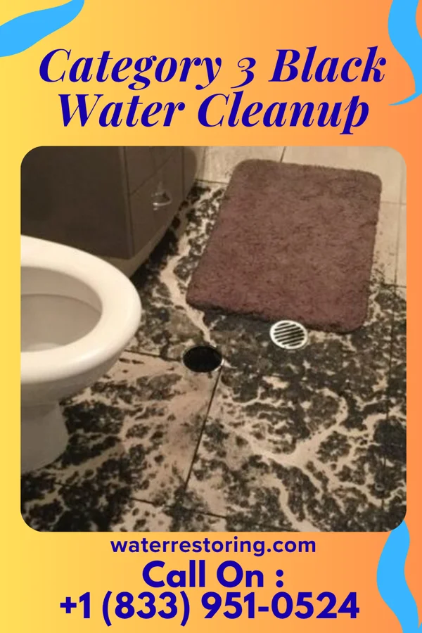 Category 3 Black Water Cleanup in Mantoloking, NJ