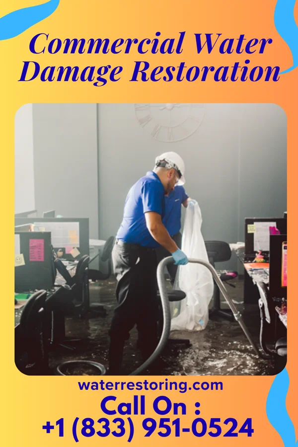 Commercial Water Damage Restoration in Mantoloking, NJ