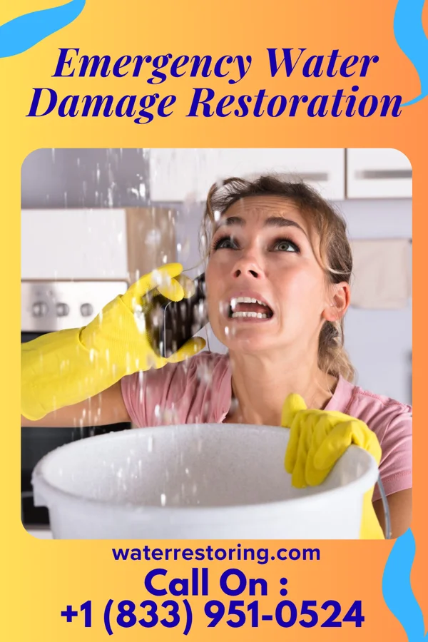 Emergency Water Damage Restoration in Mantoloking, NJ