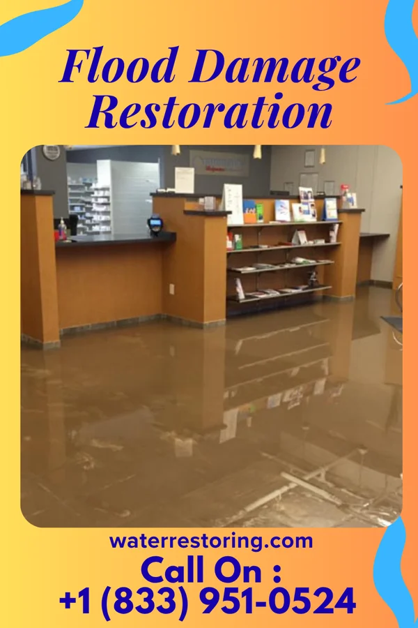 Flood Damage Restoration in Mantoloking, NJ