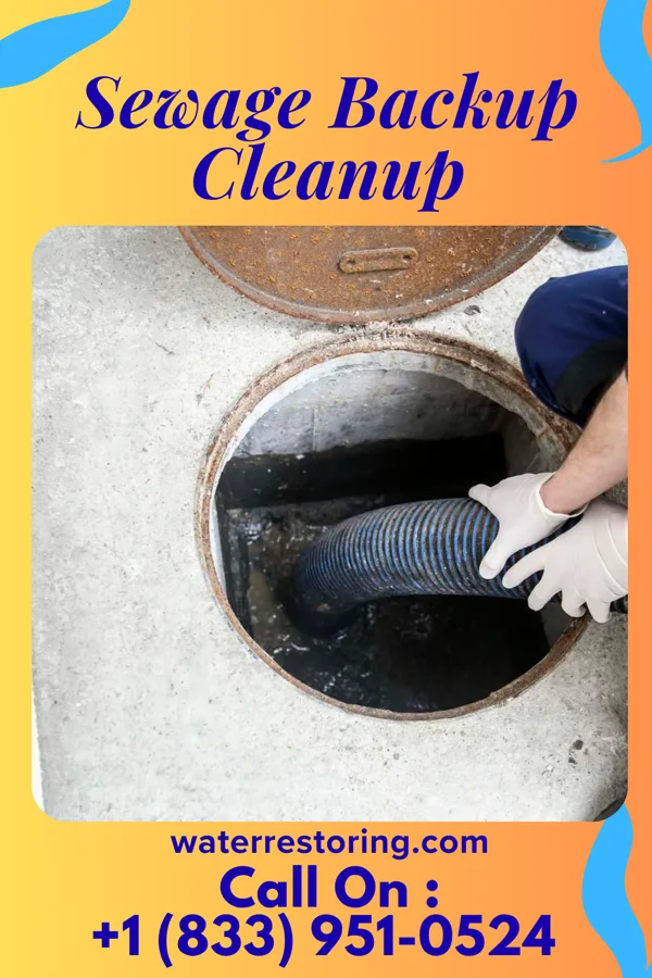 Sewage Backup Cleanup in Mantoloking, NJ
