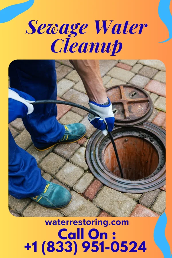 Sewage Water Cleanup in Mantoloking, NJ