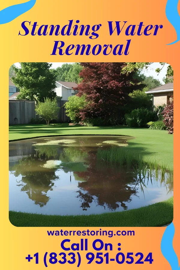 Standing Water Removal in Mantoloking, NJ